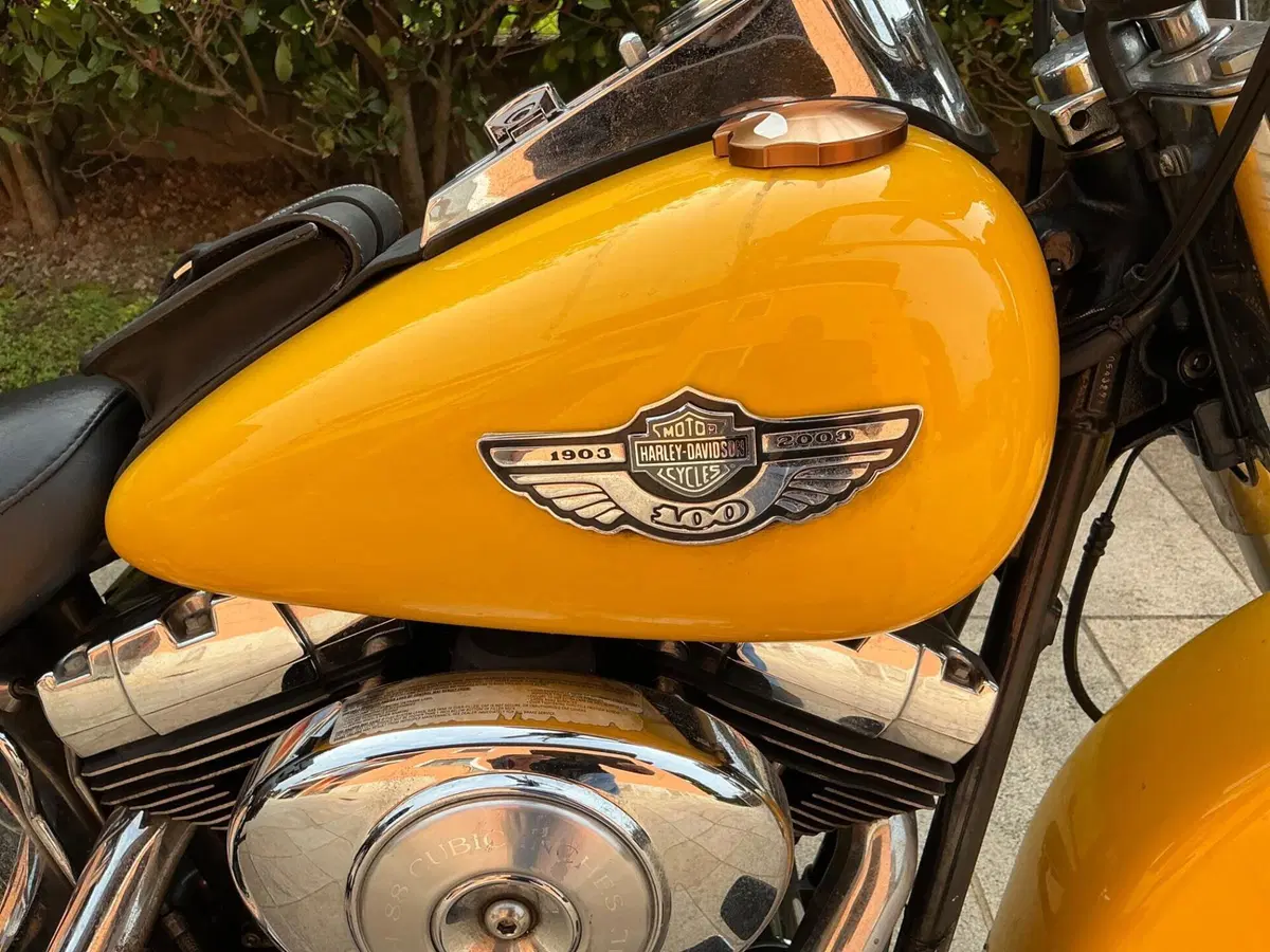 Harley-Davidson 1450 Heritage Classic (2003 - 05) - FLSTCI (4)