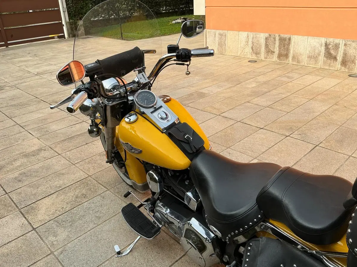 Harley-Davidson 1450 Heritage Classic (2003 - 05) - FLSTCI (8)