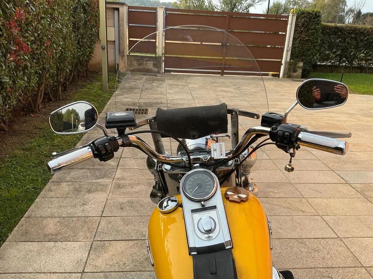 Harley-Davidson 1450 Heritage Classic (2003 - 05) - FLSTCI (10)