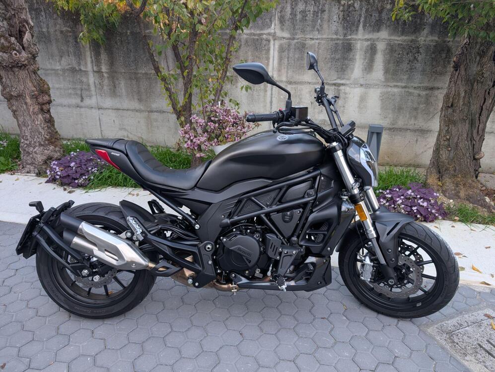 Benelli 502 C (2021 - 25) (2)