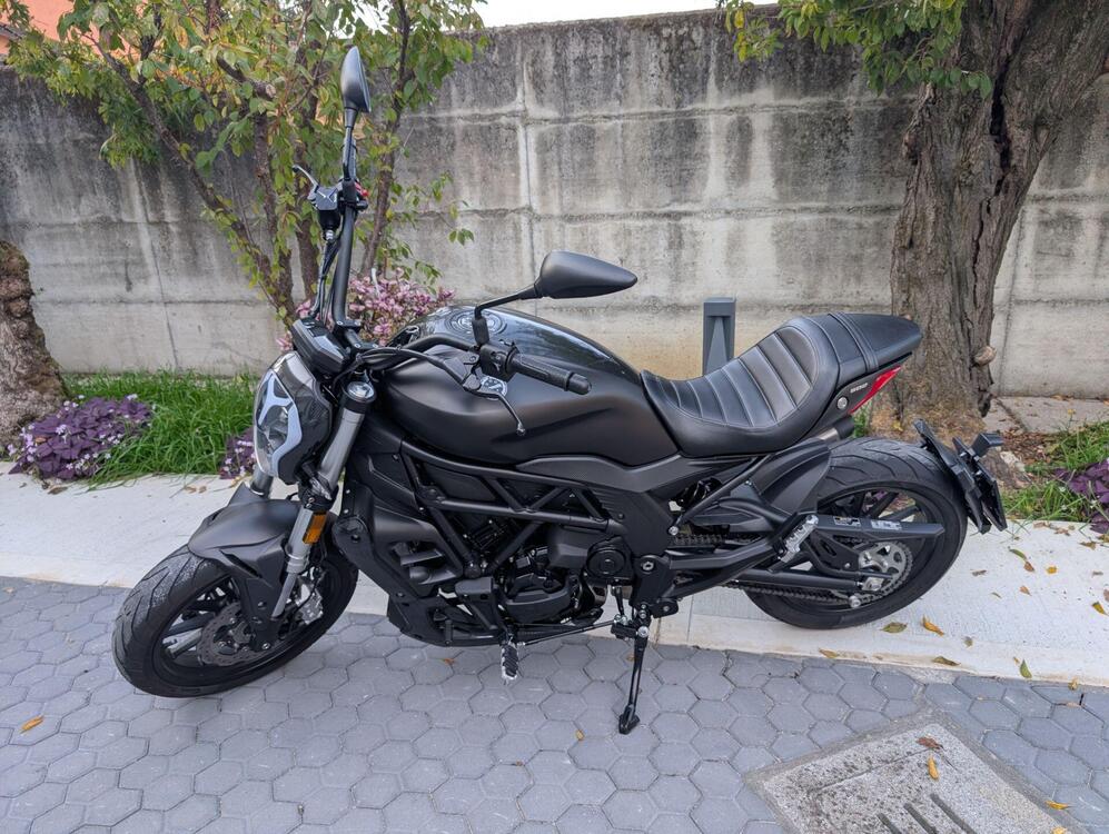 Benelli 502 C (2021 - 25) (4)