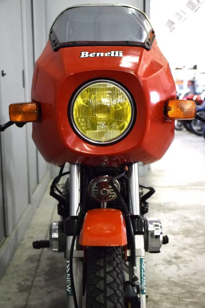 Benelli 254 (7)