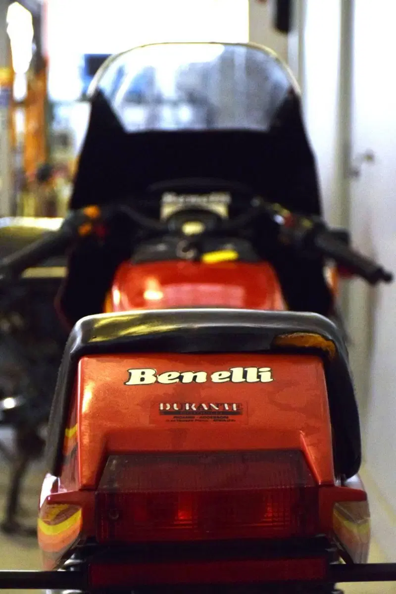 Benelli 254 (8)