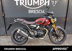 Triumph Scrambler 400 X (2024 - 25) usata