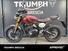 Triumph Scrambler 400 X (2024 - 25) (12)