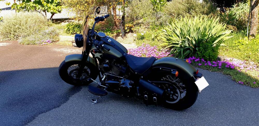 Harley-Davidson 1800 Slim S (2015 - 17) - FLS (2)