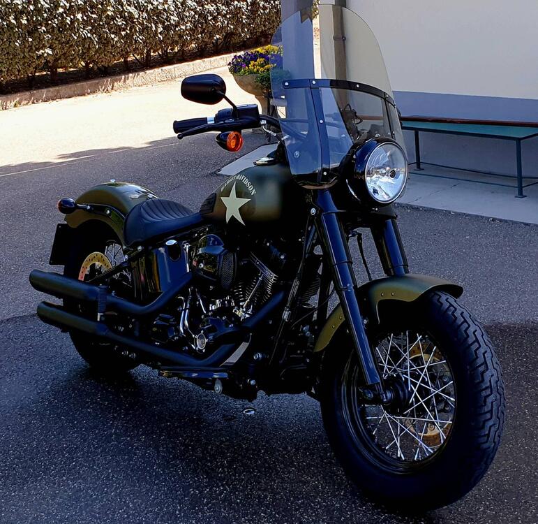 Harley-Davidson 1800 Slim S (2015 - 17) - FLS (3)