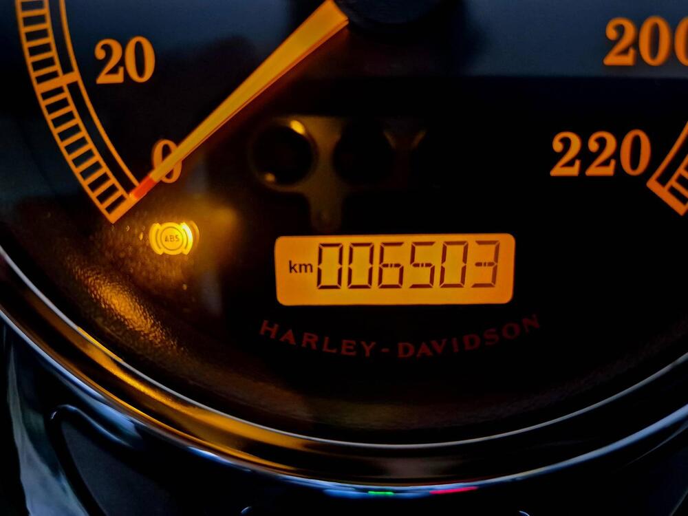 Harley-Davidson 1800 Slim S (2015 - 17) - FLS (5)