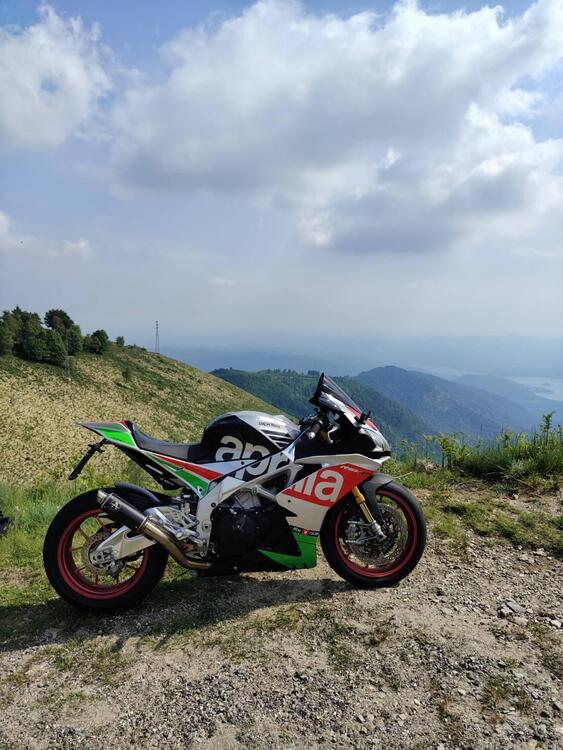 Aprilia RSV4 RF (2017 - 19) (3)