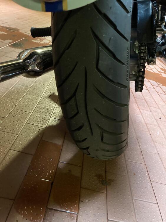 Triumph Bonneville T100 50th Anniversary (2009) (5)