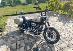 Harley-Davidson 107 Sport Glide (2018 - 20) usata