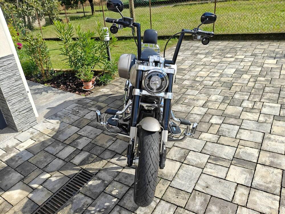 Harley-Davidson 107 Sport Glide (2018 - 20) (2)