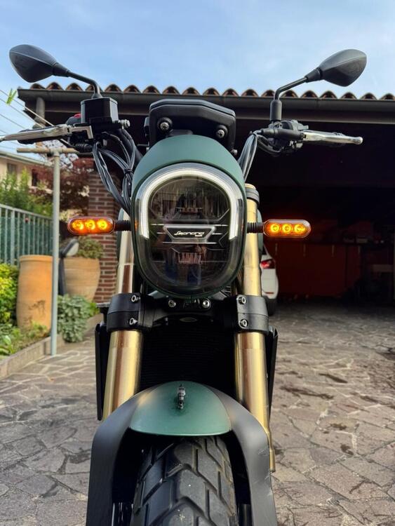 Benelli Leoncino 800 (2022 - 25) (4)