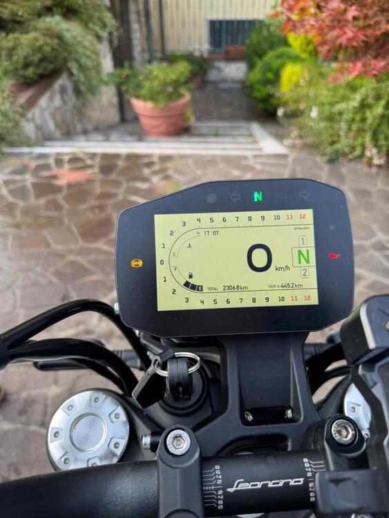 Benelli Leoncino 800 (2022 - 25) (5)