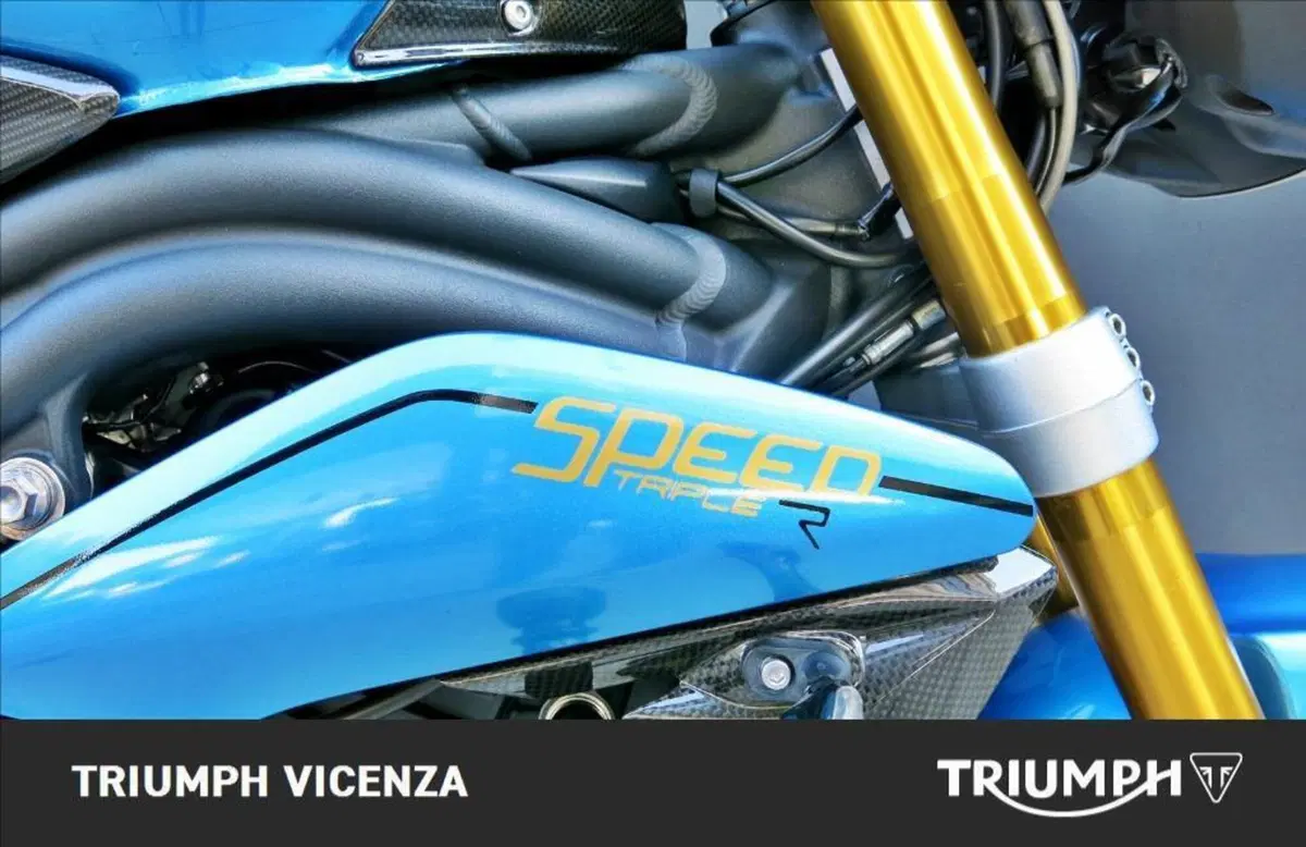 Triumph Speed Triple 1050 R ABS (2011 - 15) (10)