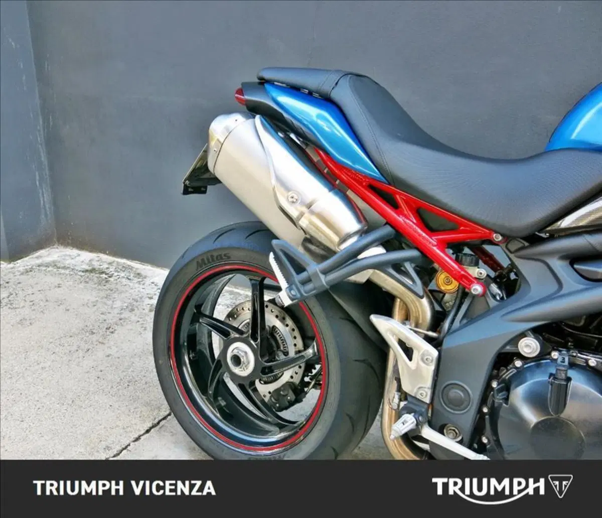 Triumph Speed Triple 1050 R ABS (2011 - 15) (14)