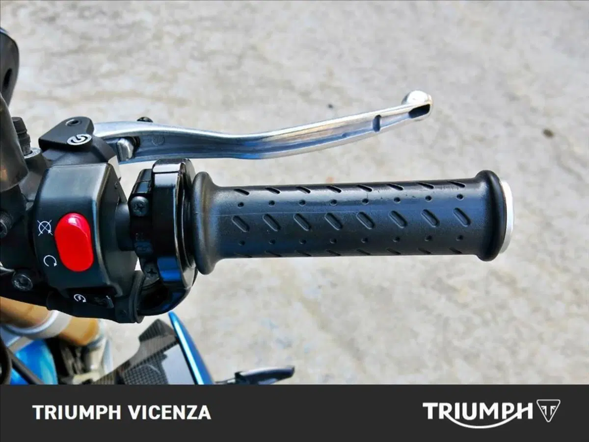 Triumph Speed Triple 1050 R ABS (2011 - 15) (16)