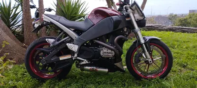 Buell Lightning XB 12S usata