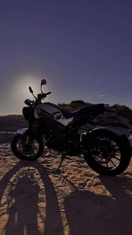 Benelli Leoncino 250 (2021 - 25)
