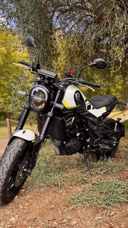 Benelli Leoncino 250 (2021 - 25) (2)