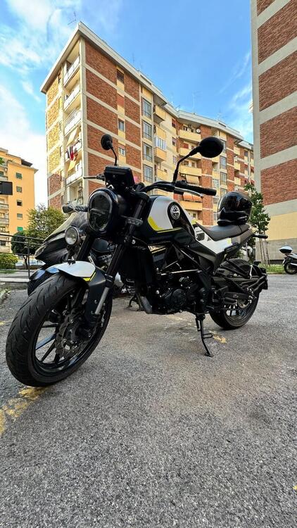 Benelli Leoncino 250 (2021 - 25) (3)