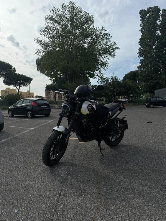 Benelli Leoncino 250 (2021 - 25) (5)