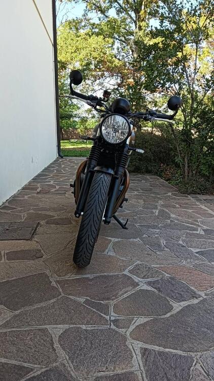 Triumph Speed Twin 900 (2023 - 24) (5)