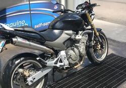 Honda Hornet 600 (2005 - 06) usata