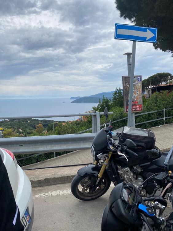 Honda Hornet 600 (2005 - 06) (2)