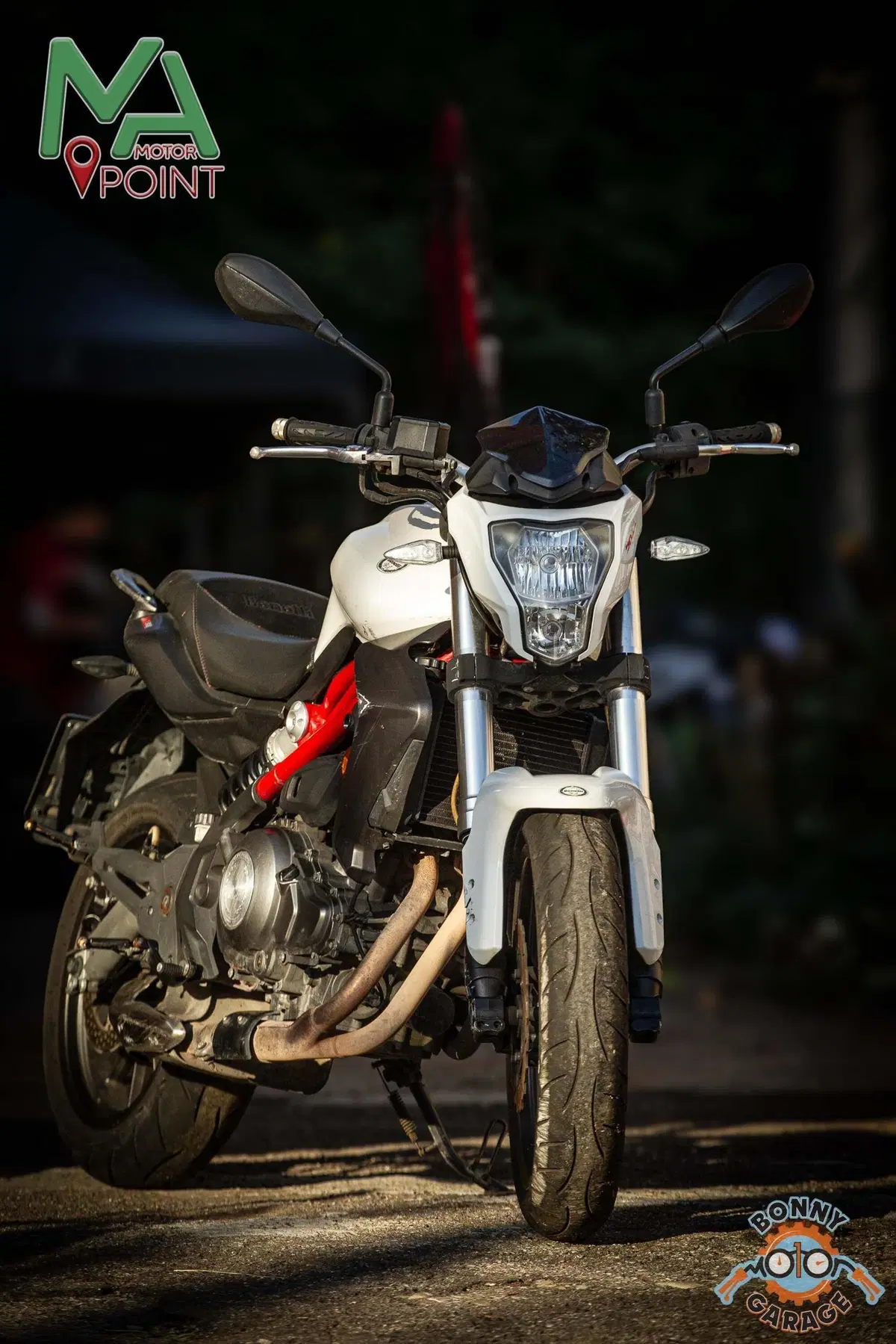 Benelli BN 302 (2014 - 16) (3)
