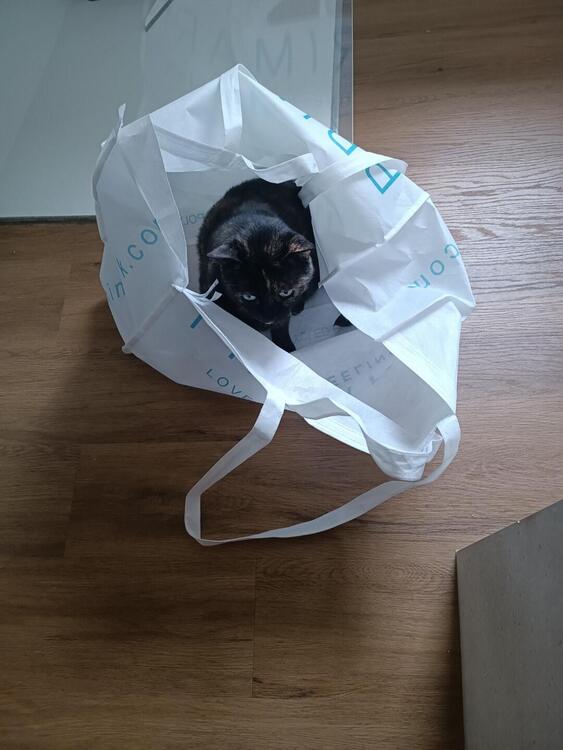 Aprilia Atlantic 500 (2005 - 11)