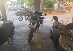 Moto Guzzi V85 TT Evocative Graphics (2021 - 23) usata