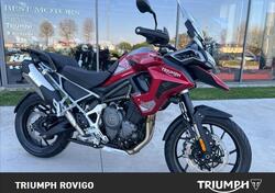 Triumph Tiger 1200 GT Pro (2024 - 25) usata
