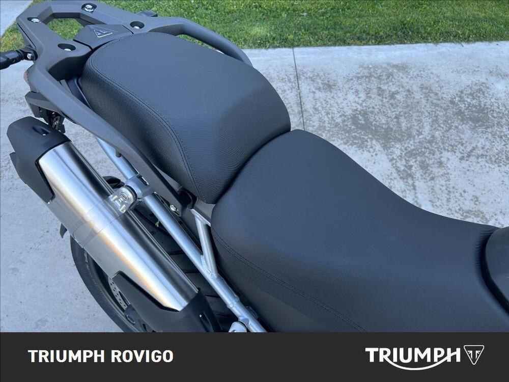 Triumph Tiger 1200 GT Pro (2024 - 25) (3)
