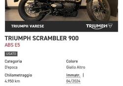Triumph Scrambler 900 (2023 - 25) usata