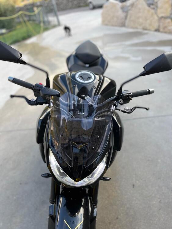 Kawasaki Z 800 e ABS (2012 - 16) (5)