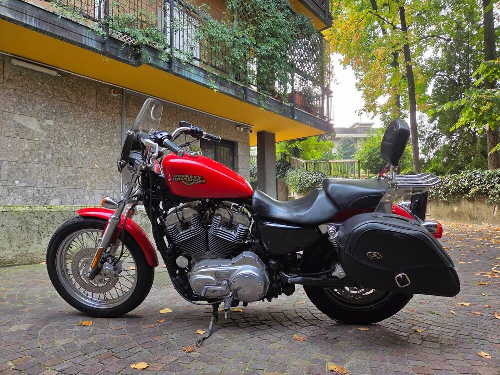 Harley-Davidson 883 Low (2008 - 12) - XL 883L (2)