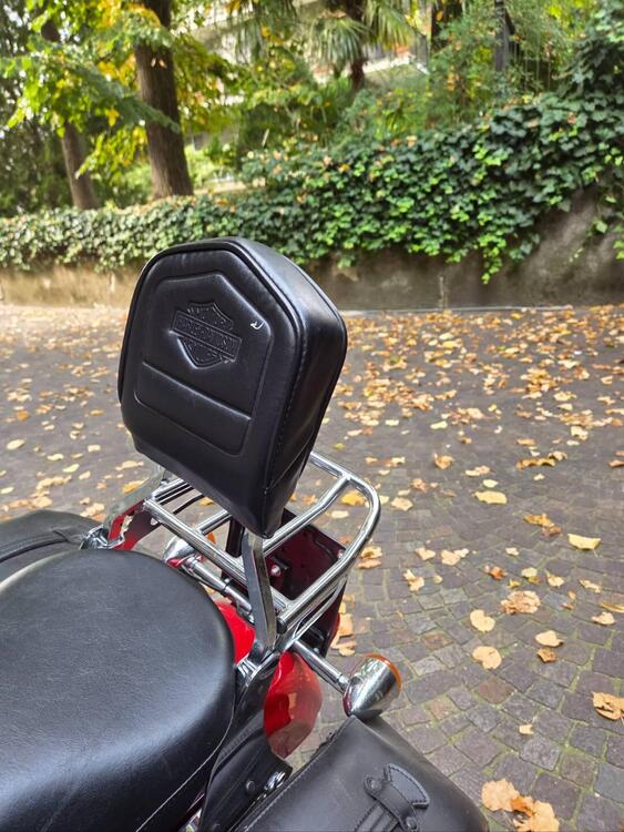 Harley-Davidson 883 Low (2008 - 12) - XL 883L (4)