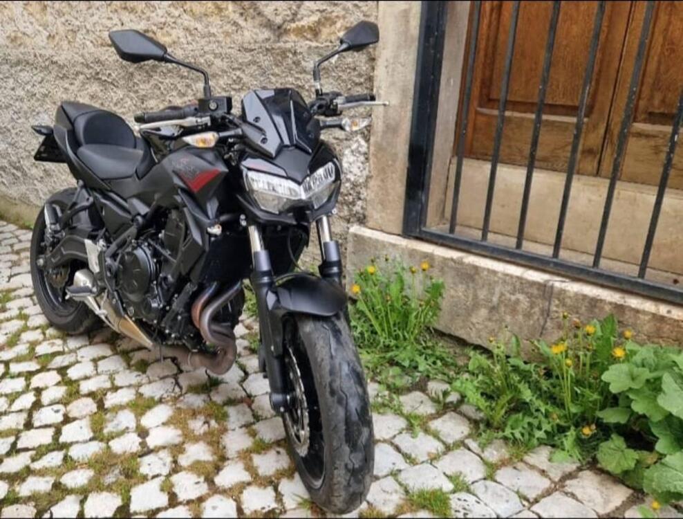 Kawasaki Z 650 (2021 - 24)