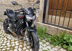Kawasaki Z 650 (2021 - 24) usata