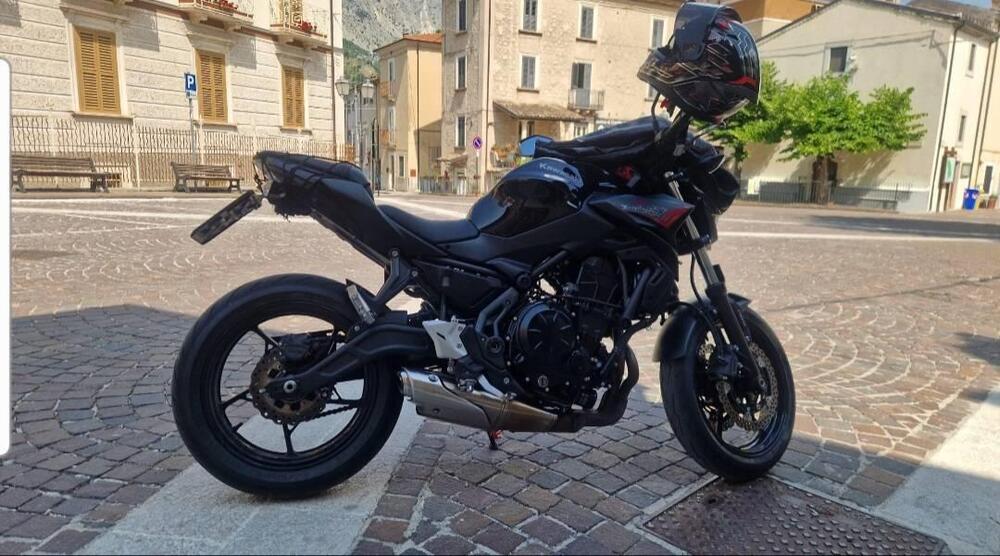 Kawasaki Z 650 (2021 - 24) (2)