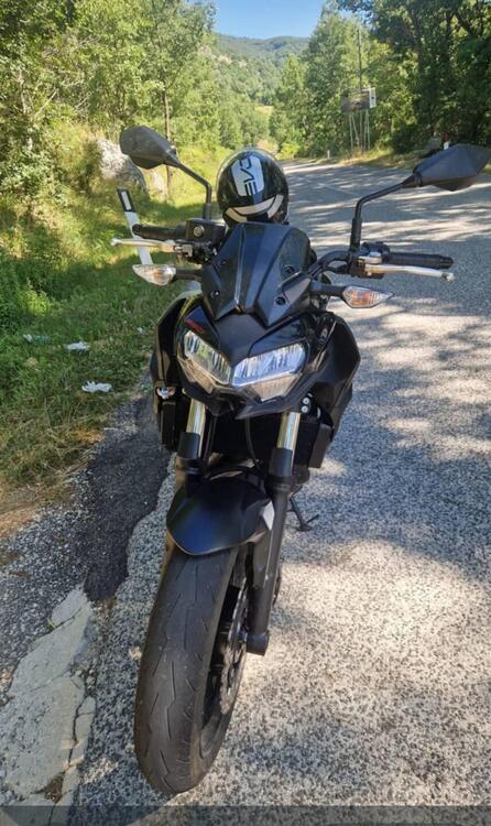 Kawasaki Z 650 (2021 - 24) (3)