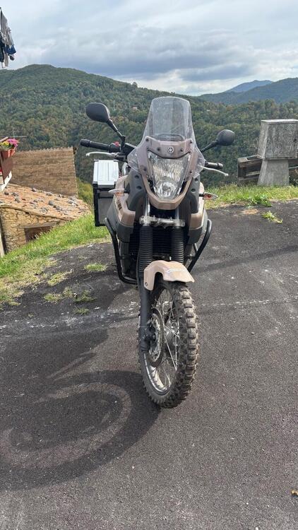 Yamaha XT 660 Z Ténéré (2008 - 16) (4)
