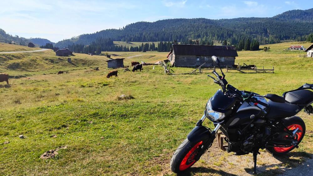 Yamaha MT-07 (2018 - 20)