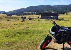 Yamaha MT-07 (2018 - 20) usata