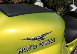 Moto Guzzi V11 Sport (1999 - 02) usata