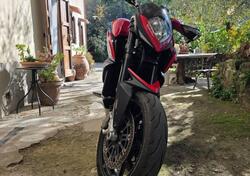 MV Agusta Rivale 800 EAS ABS (2013 -17) usata