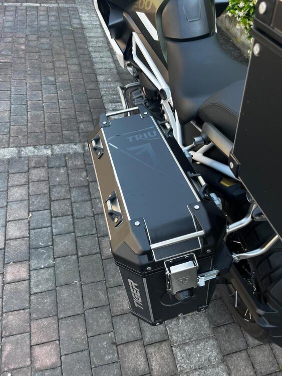 Triumph Tiger 1200 Rally Pro (2022 - 23) (5)