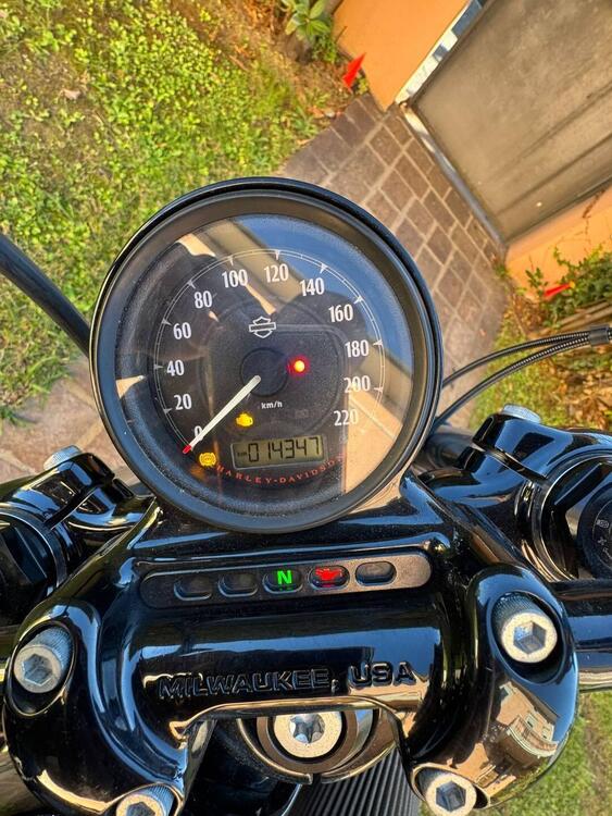 Harley-Davidson 1200 Forty-Eight Special (2018 - 20) (3)