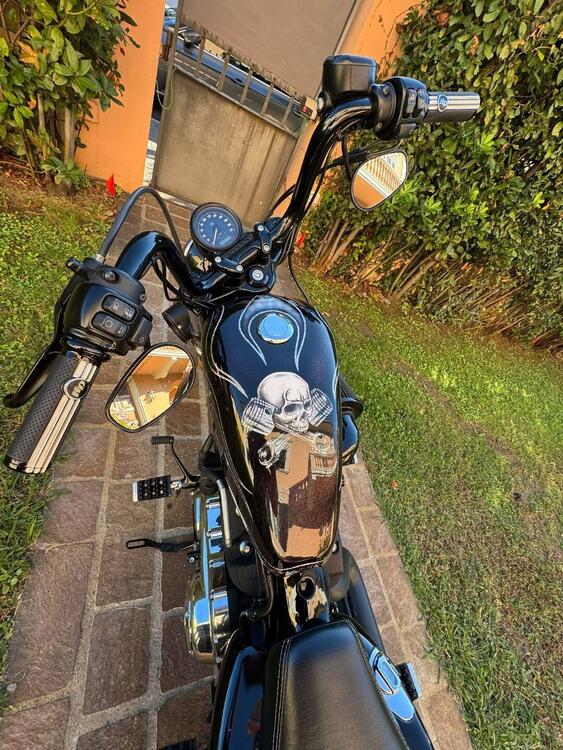 Harley-Davidson 1200 Forty-Eight Special (2018 - 20) (4)